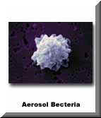 Aerosol Bacteria